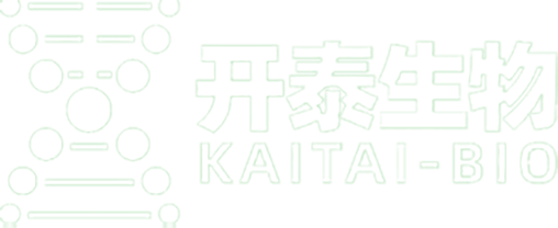 亚洲熟妇无码乱子AV电影