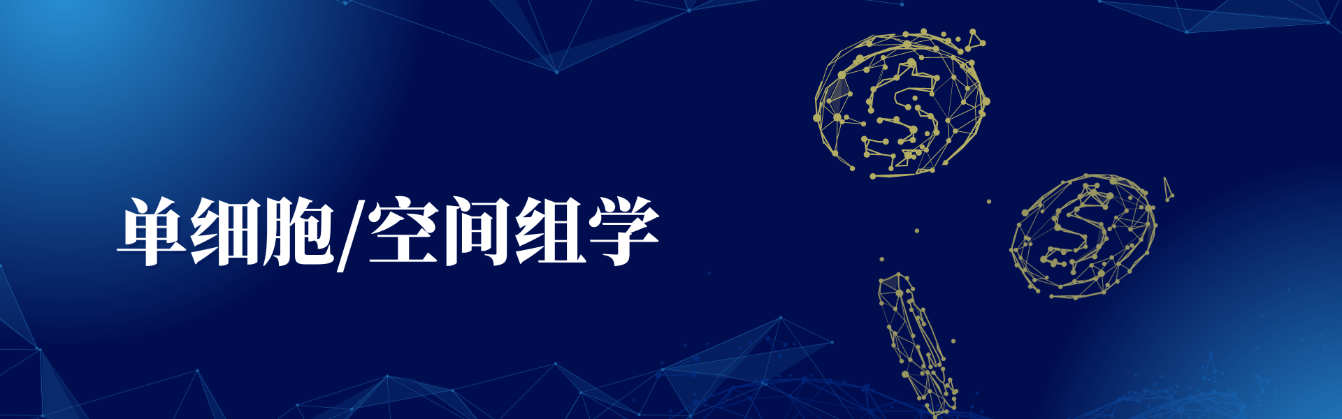 亚洲熟妇无码乱子AV电影