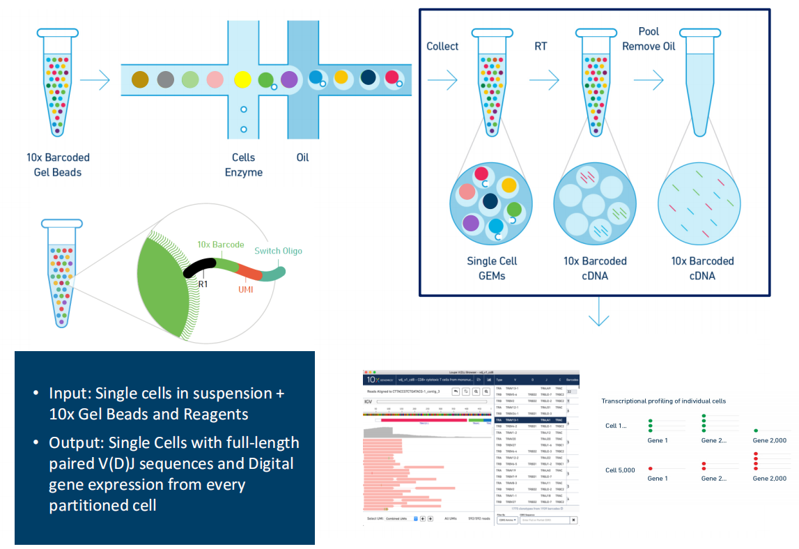 亚洲熟妇无码乱子AV电影