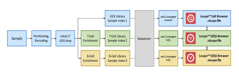 亚洲熟妇无码乱子AV电影