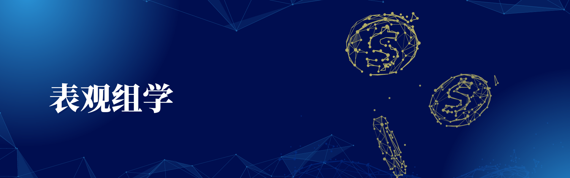 亚洲熟妇无码乱子AV电影