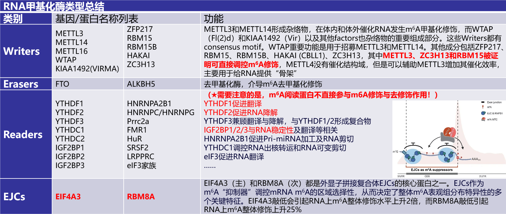 亚洲熟妇无码乱子AV电影