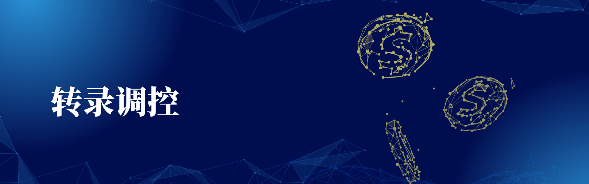 亚洲熟妇无码乱子AV电影