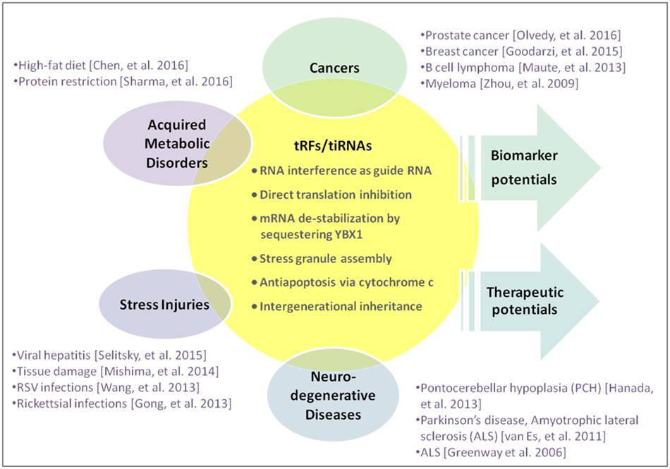 亚洲熟妇无码乱子AV电影