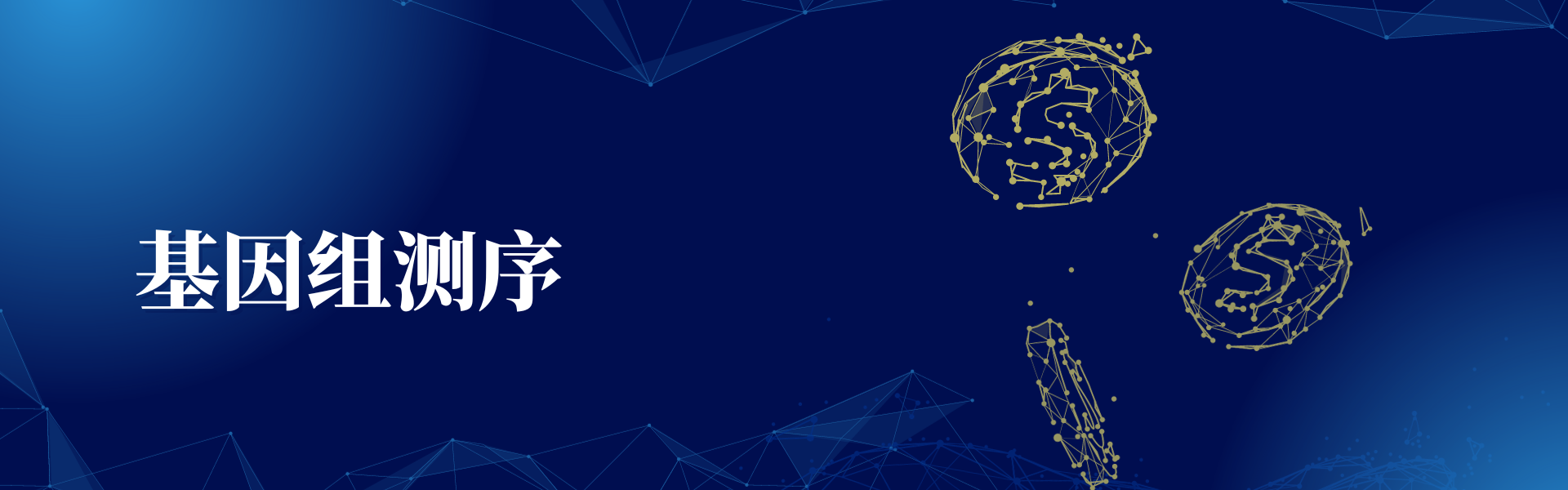 亚洲熟妇无码乱子AV电影