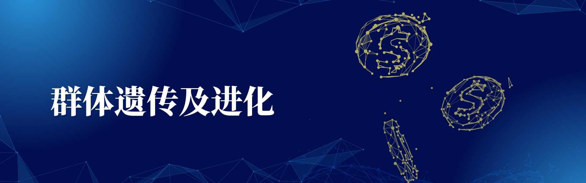 亚洲熟妇无码乱子AV电影