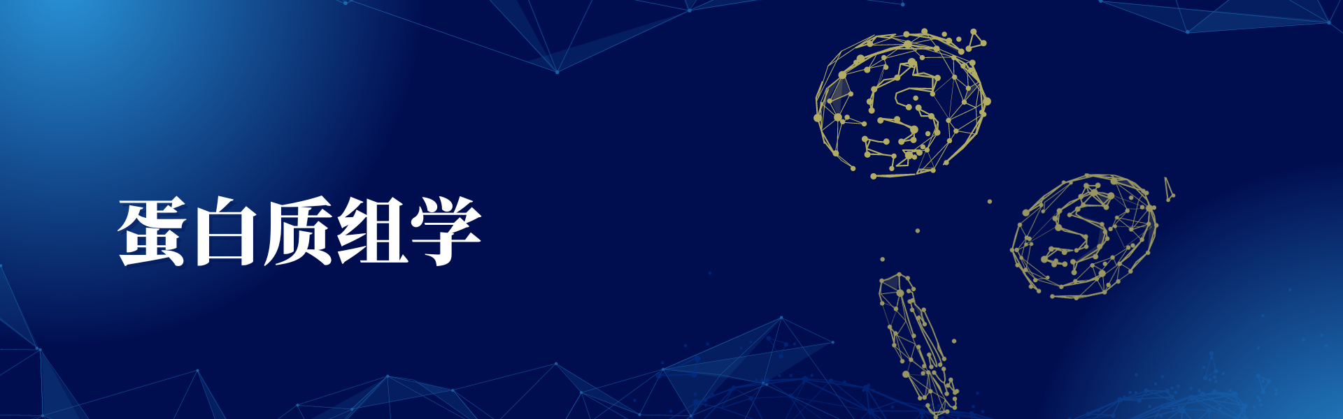 亚洲熟妇无码乱子AV电影