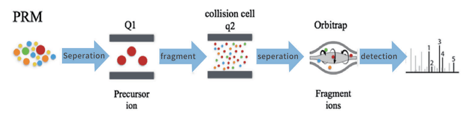 亚洲熟妇无码乱子AV电影