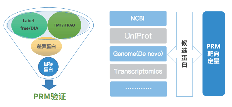 亚洲熟妇无码乱子AV电影