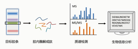 亚洲熟妇无码乱子AV电影