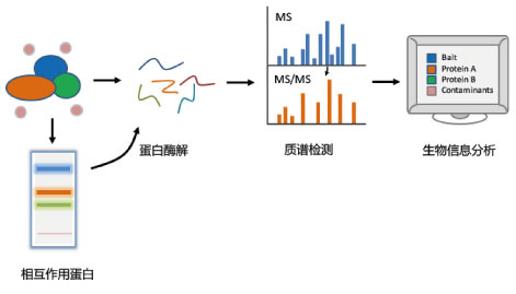 亚洲熟妇无码乱子AV电影