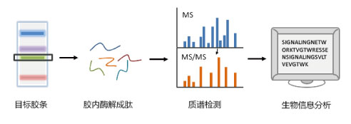 亚洲熟妇无码乱子AV电影