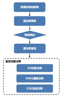 亚洲熟妇无码乱子AV电影