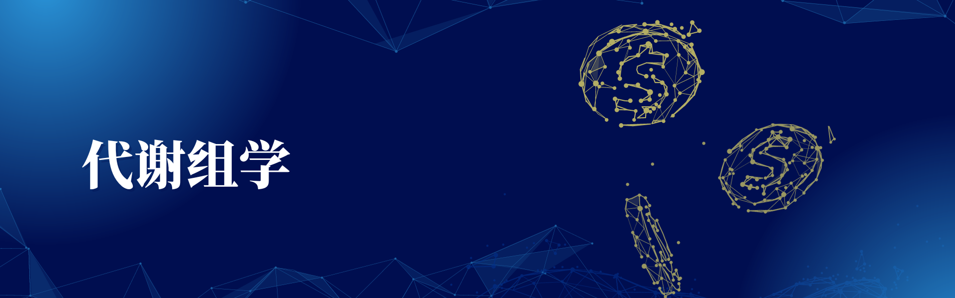 亚洲熟妇无码乱子AV电影