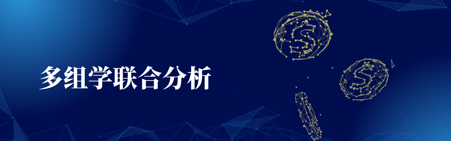 亚洲熟妇无码乱子AV电影