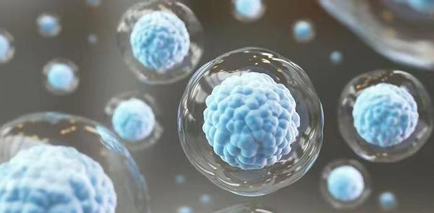 文献解读|Cell（64.5）：使用单细胞转录组学和蛋白质组学成像绘制人类骨髓生