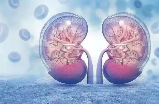 文献解读|iScience（5.8）：通过定量蛋白质组学研究 HMGB1 作为早