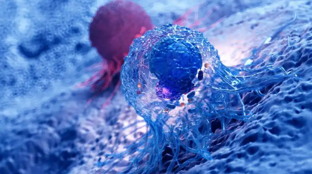 文献解读|Cell Rep Med（14.3）：多模式免疫表型分析揭示了塑造胰腺