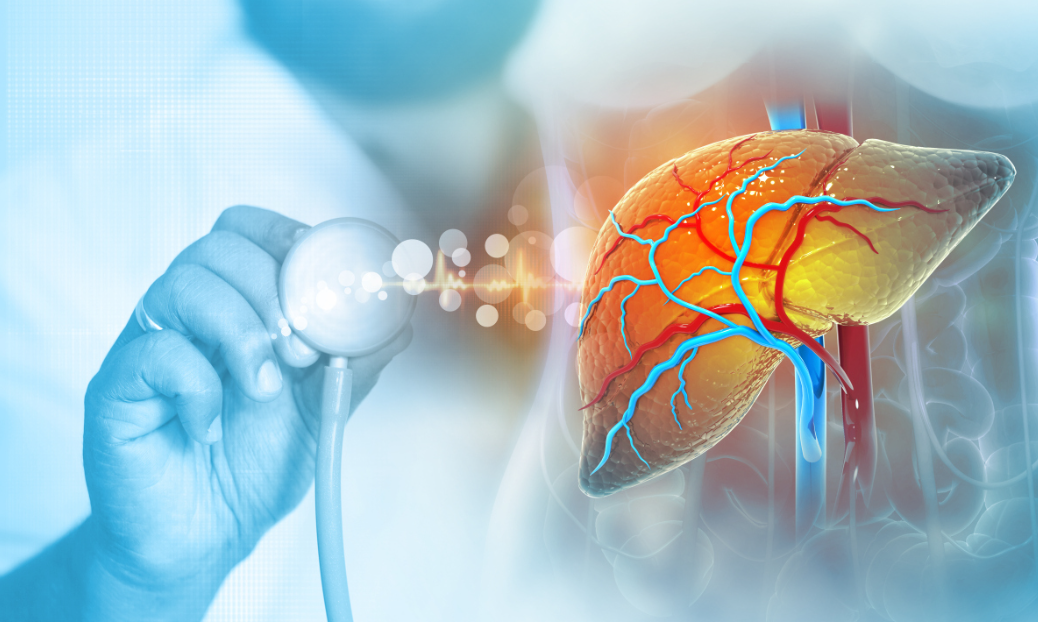 文献解读|Nat Commun（14.3）：门静脉栓塞后人类再生肝脏的细胞图谱