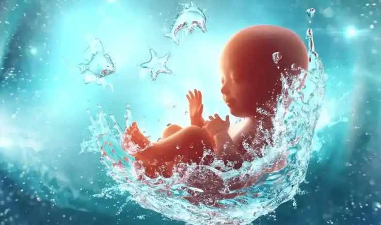 文献解读|Nat Commun（14.3）：不同孕龄人类新生儿胎粪的宿主来源蛋白