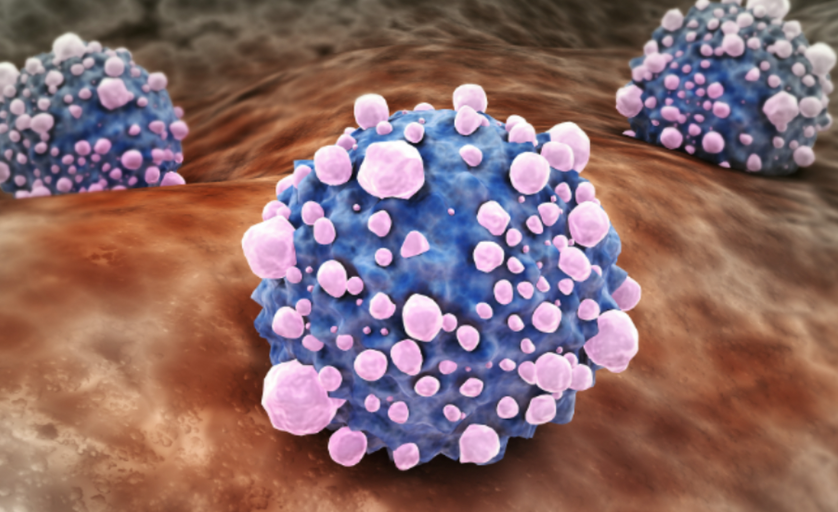 文献解读|Cell Rep（8.8）：甲状腺未分化癌的基因组和进化景观