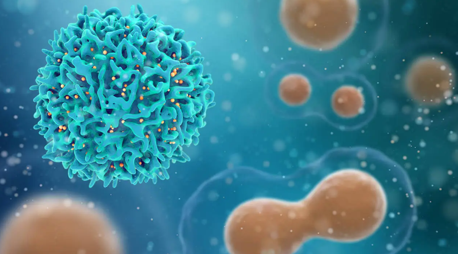 文献解读|Cell Rep Med（14.3）：从浸润前到浸润性肺腺癌的进化蛋白