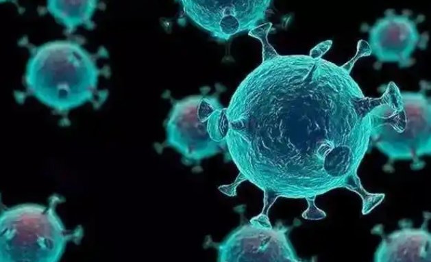 文献解读|Cell Rep Med（14.3）：肝细胞癌的综合组学景观表明用于精