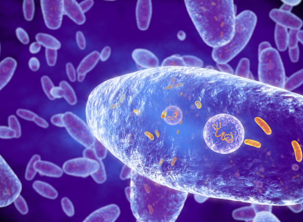 文献解读|Cell Host Microbe（30.3）：供体-受体微生物间相互