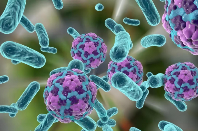 文献解读|Cell Host Microbe（30.3）：源自老年人肠道微生物组