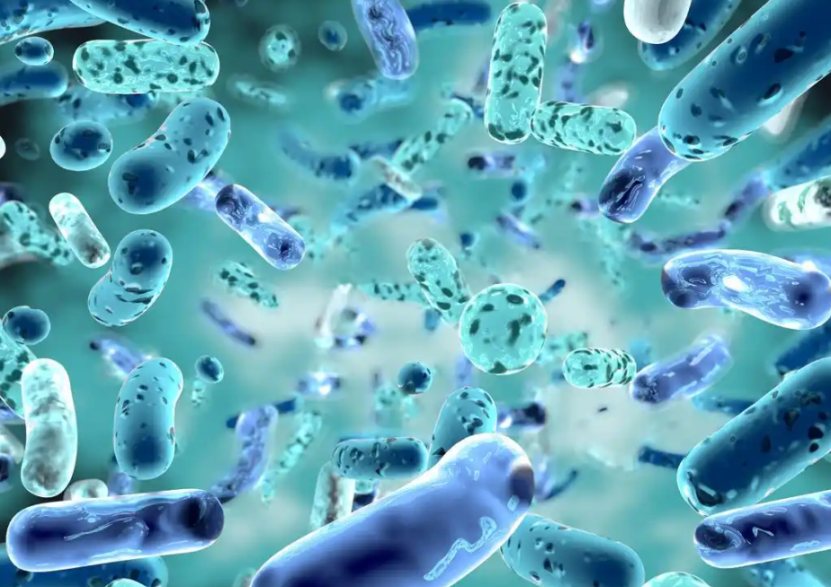 文献解读|Nature（64.8）：父系微生物群扰动影响后代健康