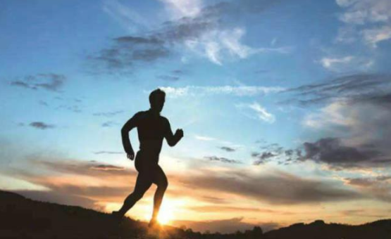 文献解读|Nature（64.8）：耐力运动训练的多组学反应的时间动态