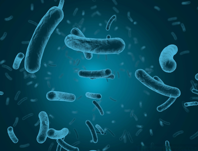 文献解读|Gut（24.5）：妊娠期间肠道真菌群动态概况及其与宿主代谢和妊娠健康