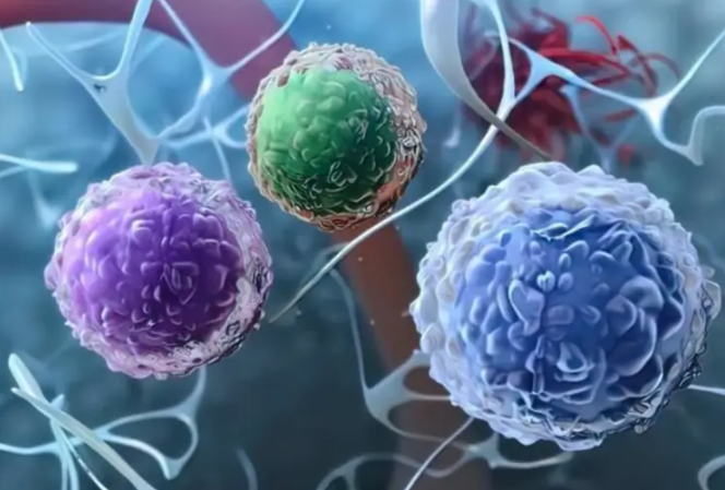 文献解读Clin Transl Med（10.6）：综合多组学分析确定肝细胞癌的