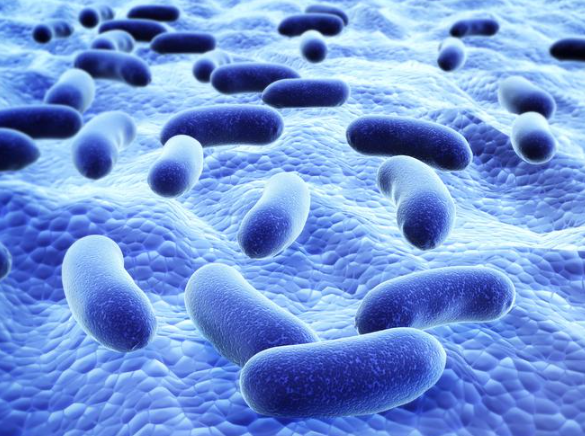 文献解读|Cell Host Microbe（20.6）：多组学特征揭示正常和患