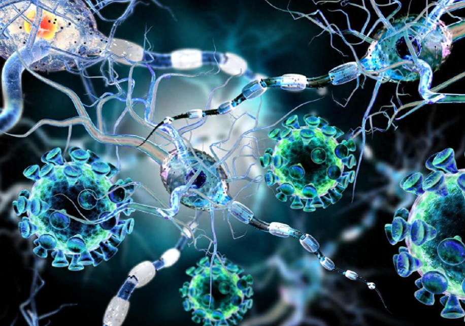 文献解读|Nat Commun（14.7）：综合多组学分析揭示肿瘤-免疫-肠道轴