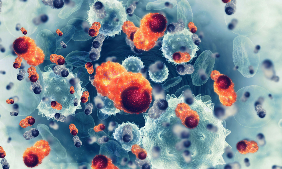 文献解读|Cell Discov（13.0）：蛋白质组学对泛黑色素瘤生物学和治疗