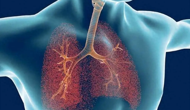 文献解读|Nat Commun（14.7）：巨噬细胞 STING 信号通过 IL