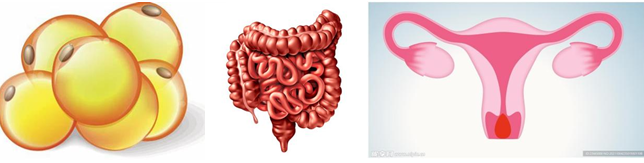 单细胞组织“暑期大考”：1000+样本通关秘籍！ 你的课题组织上榜了吗？