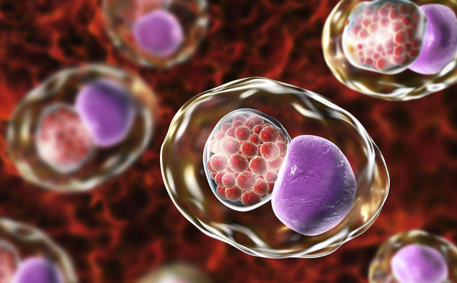 文献解读|Cell（45.5）：青少年和年轻女性的宫颈阴道微生物组和沙眼衣原体的