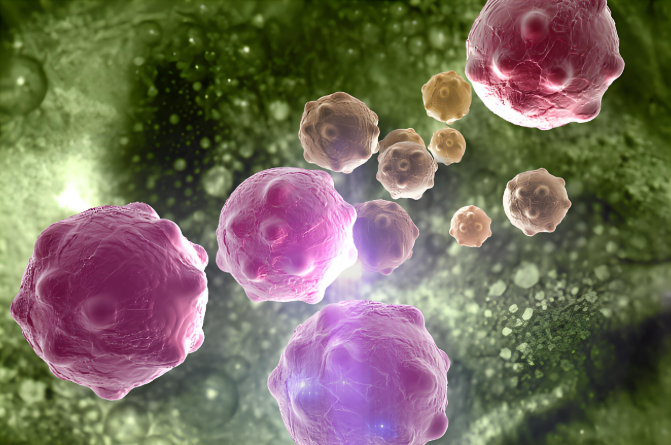 文献解读|J Hepatol（26.8）：从乳头状肿瘤到胆道癌的连续致癌基因组和