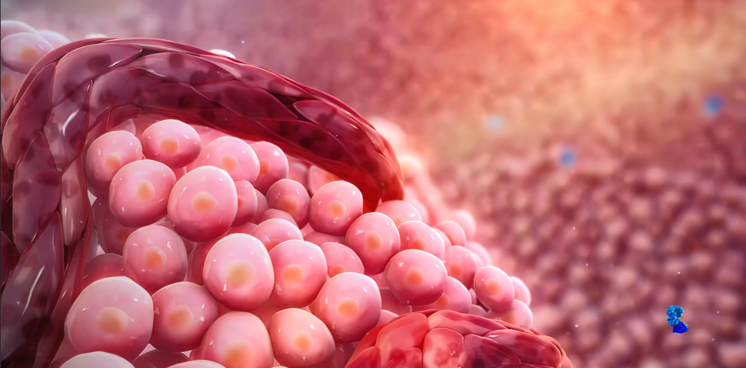 文献解读|Cell（45.5）：持续的染色体碎裂是骨肉瘤基因组复杂性和克隆进化的