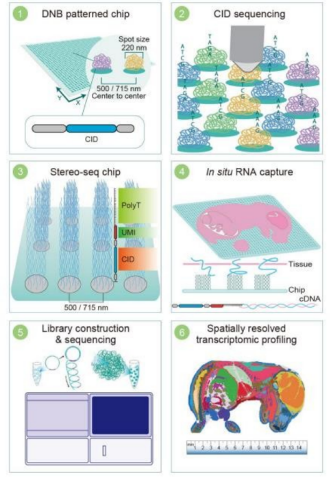 亚洲熟妇无码乱子AV电影