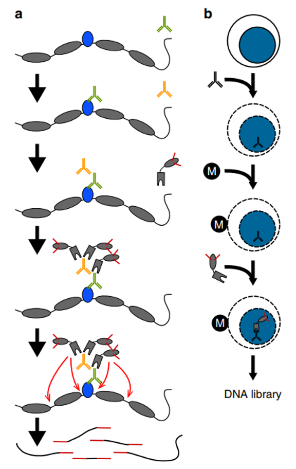 亚洲熟妇无码乱子AV电影