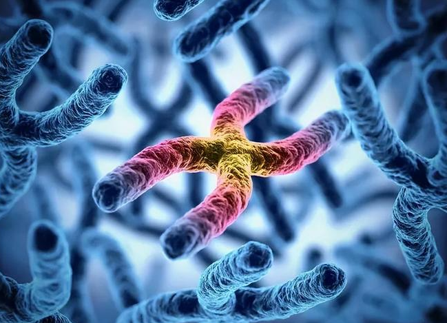 文献解读|Science（44.7）：基于肾脏多组学的基因评分卡揭示了编码变异和