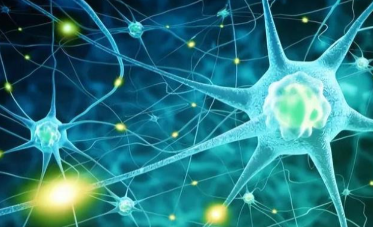 文献解读|Cell Rep Med（11.7）：肠道微生物 GABA 失衡成为轻