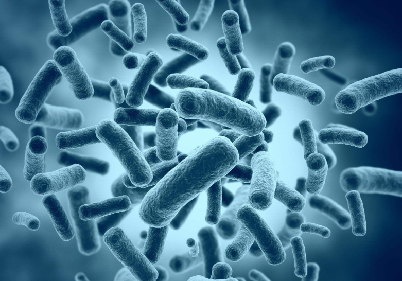 文献解读|Gut（23.0）：多项研究中的肠-肝-脂肪轴多组学揭示了肠道微生物群