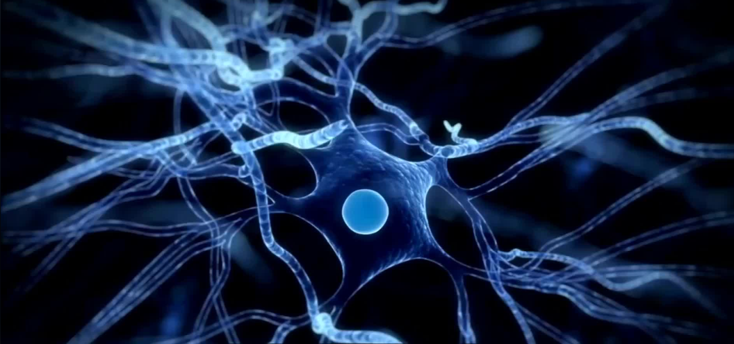 文献解读|Cell（45.5）：脑脊液蛋白质组学鉴定出常染色体显性阿尔茨海默病的