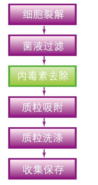 亚洲熟妇无码乱子AV电影