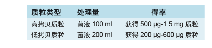 亚洲熟妇无码乱子AV电影