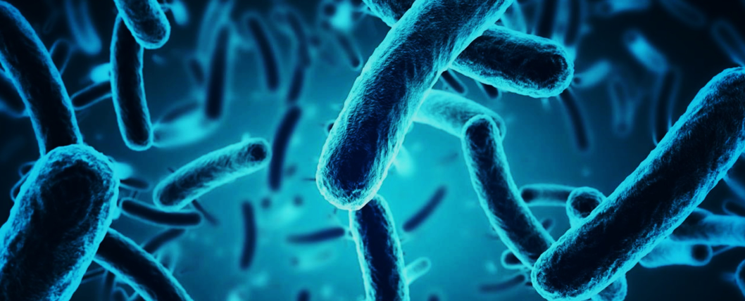 文献解读|Cell Host Microbe（20.6）：抗生素引起的肠道微生物